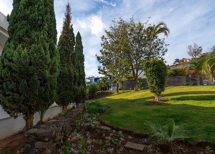 Amethyst By Lovelystay